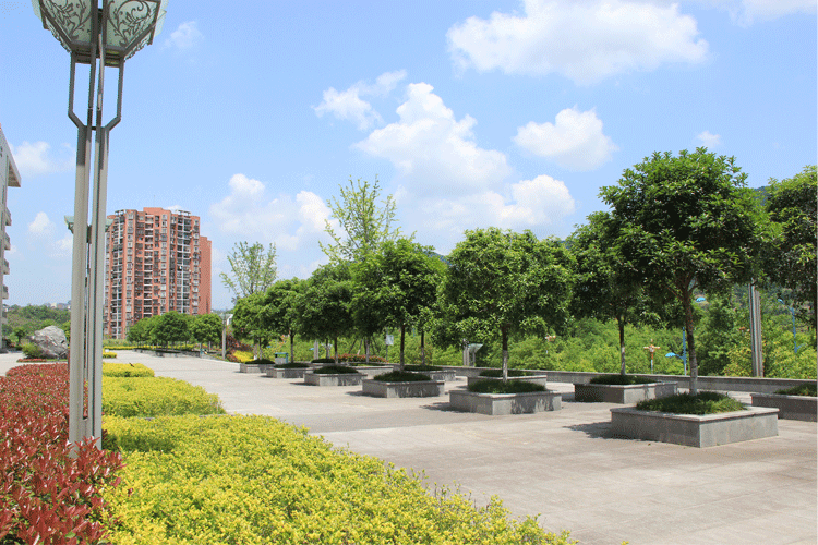 文理學院.gif