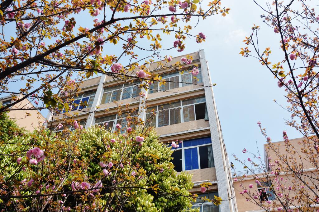 宜賓職業技術學院1.jpg