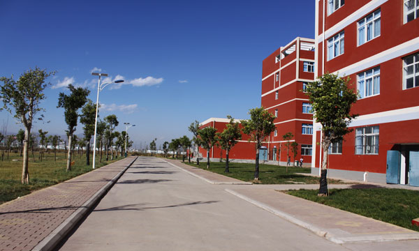 06.jpg