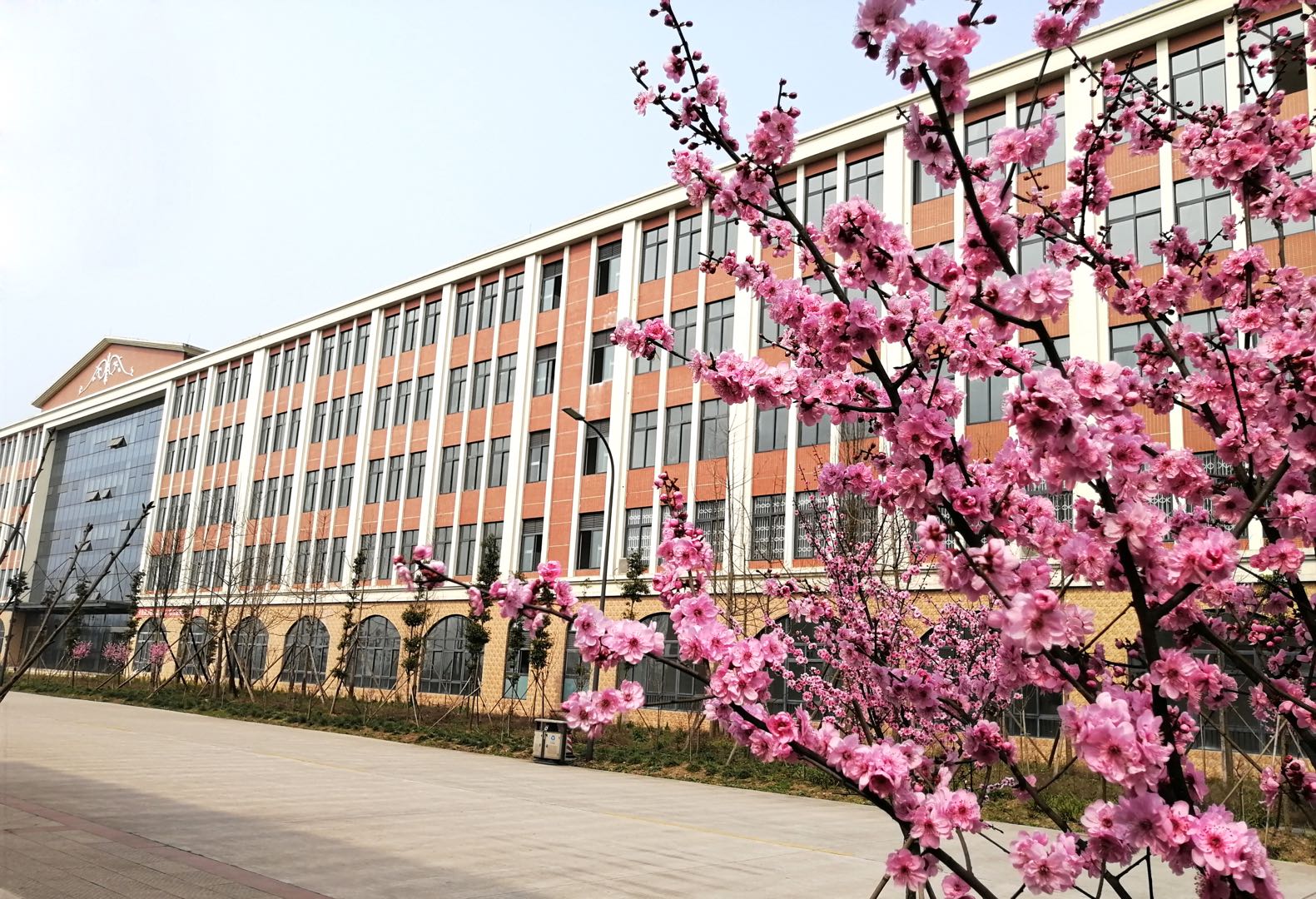西華師范大學(xué)自考5.jpg
