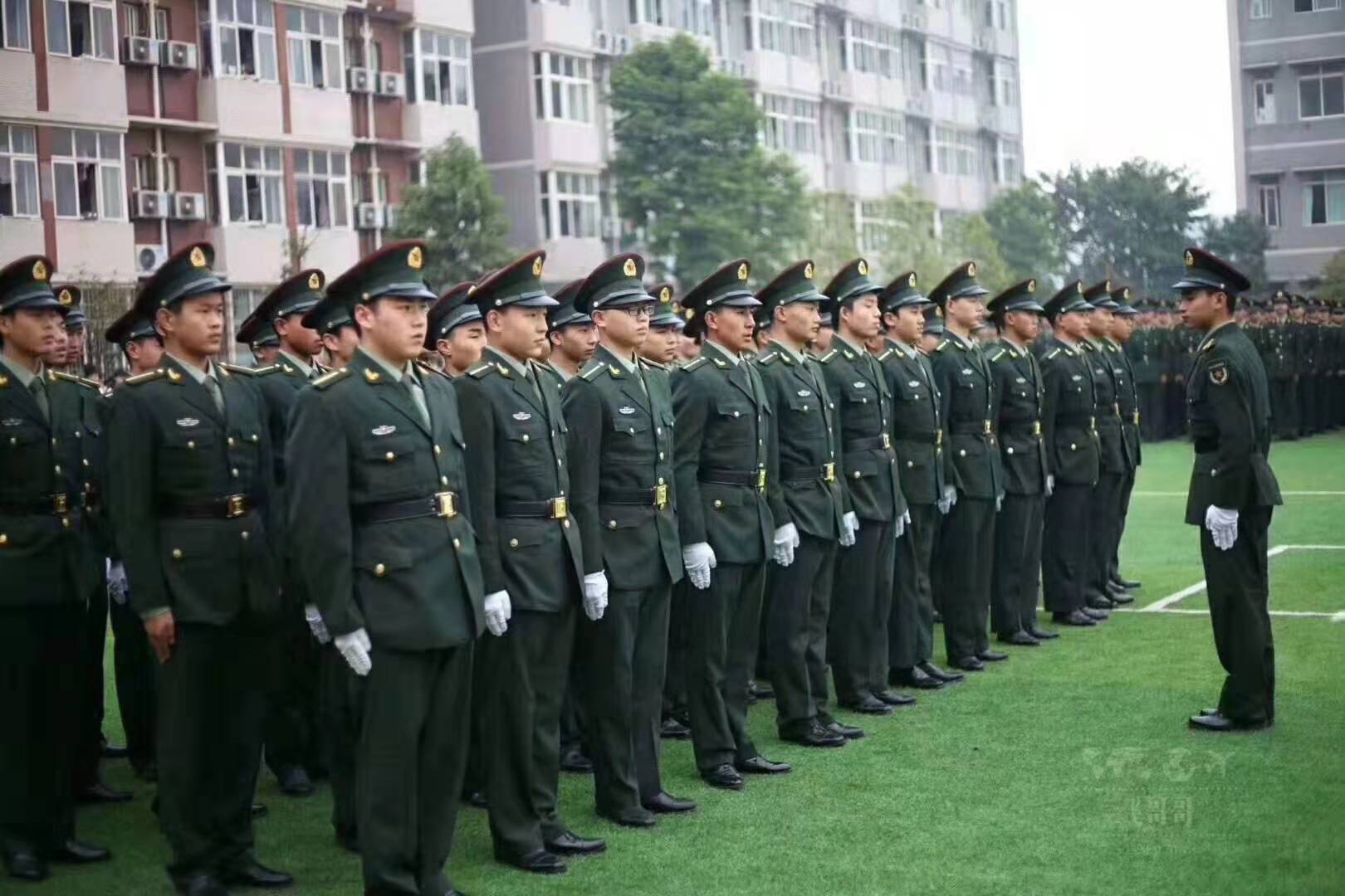 1587564189369901.jpg