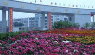 四川職業(yè)技術(shù)學(xué)院